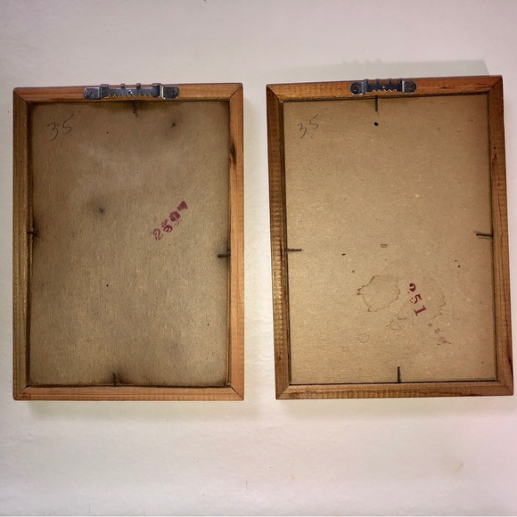 Sidney Z. Lucas New York City Framed Vintage Bird Prints - Picture 8 of 11